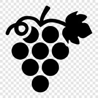 wine, wine production, wine tasting, grape wine icon svg