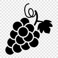 wine, wine making, grape growing, grapes for juice icon svg