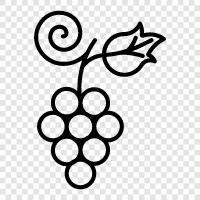 Wein, rot, weiß, Tafelwein symbol