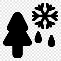 winter snow, winter weather, winter coat, winter boots icon svg