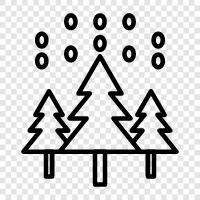 winter, trees, park, nature icon svg