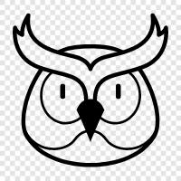 Wisdom, Mystic, Perception, Owl icon svg