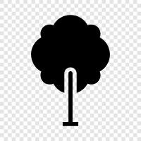 wood, branch, trunk, roots icon svg