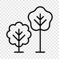 wood, trunk, branches, leaves icon svg