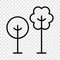 Wood, Forest, Arbor, Foliage icon svg