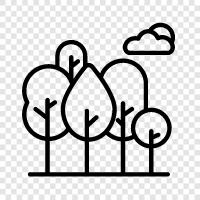 wood, branch, leaf, twig icon svg