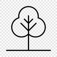 Wood, Arbor, Foliage, Plant icon svg