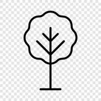 wood, lumber, trunk, branches icon svg