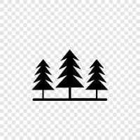 wood, lumber, trunk, branch icon svg