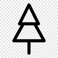 Holz, holzig, Stamm, Äste symbol