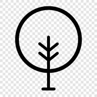 wood, branch, bark, leaves icon svg