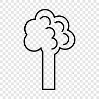 wood, trunk, branches, leaves icon svg