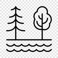 woodland, saplings, leaf, branch icon svg