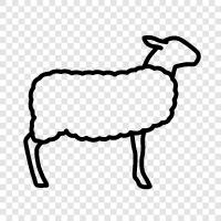 wool, fleece, lambs, meat icon svg