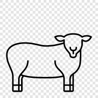 wool, fleece, lambs, wool production icon svg