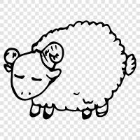 wool, fleece, lambs, farmers icon svg