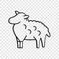 yün, fleece, lamb, mutton ikon svg