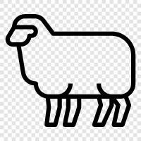 yün, fleece, lamb, wool ikon svg