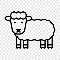 wool, fleece, lamb, ewe icon svg