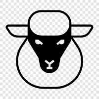 wool, fleece, lamb, ewe icon svg