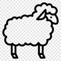 Wool, Breed, Fleece, Fiber icon svg