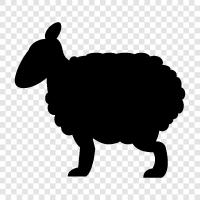 Wool, Farm, Lamb, Ewe icon svg