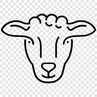 wool, fleece, lambs, sheep farming icon svg