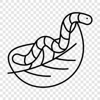 worm farm, worm farming, worm farming system, worm farming process icon svg