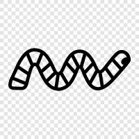 wriggling, crawl, slither, wriggle icon svg