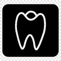 XRay, Radiology, Imaging, Teeth icon svg