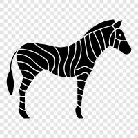 zebra, horse, animal, African icon svg